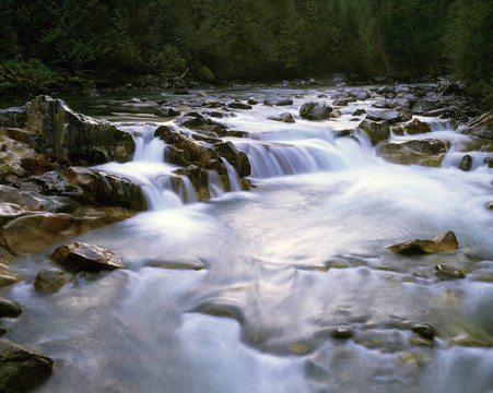 森林中的野生河流