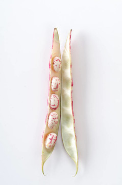 在baccello fagioli