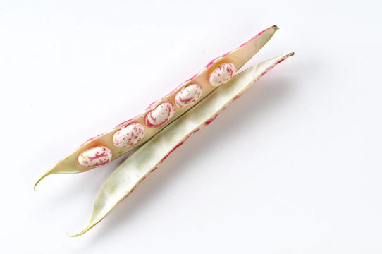 在baccello fagioli
