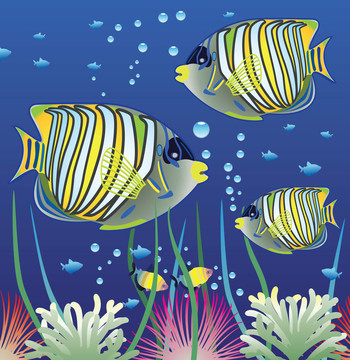 水族館和五顏六色的魚