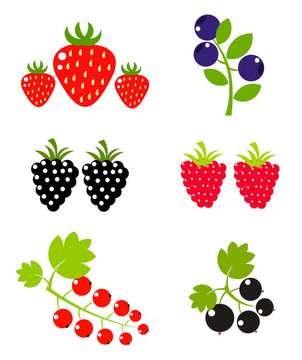 Berry的果實(shí)