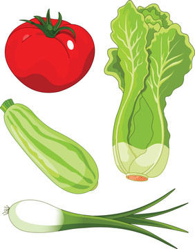 套vegetables5
