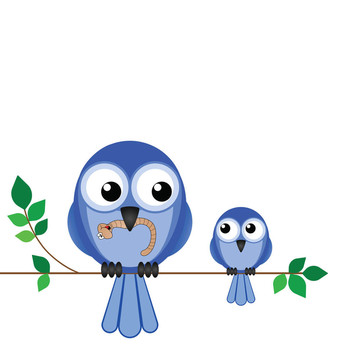 鳥(niǎo)媽媽