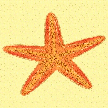 海星