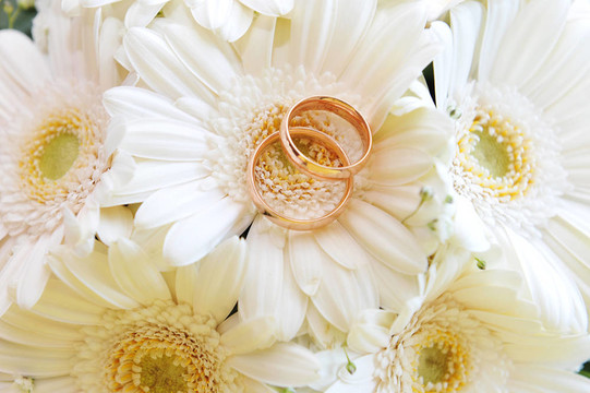 白色非洲菊和結(jié)婚戒指