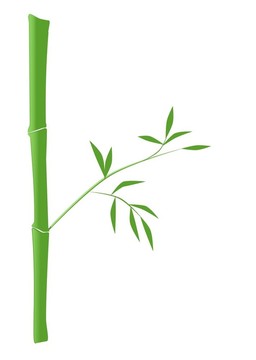 竹