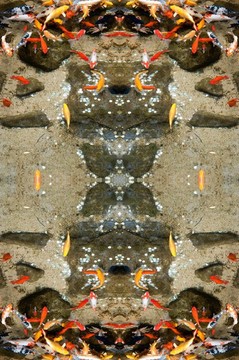 魚10