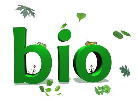 生物文本