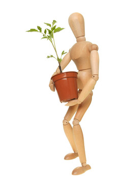 假人和番茄