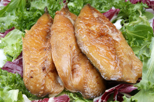 煙熏鯖魚魚片新鮮的生菜