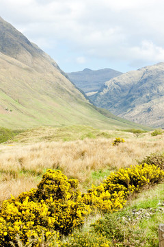Glenshiel；Highlands；蘇格蘭