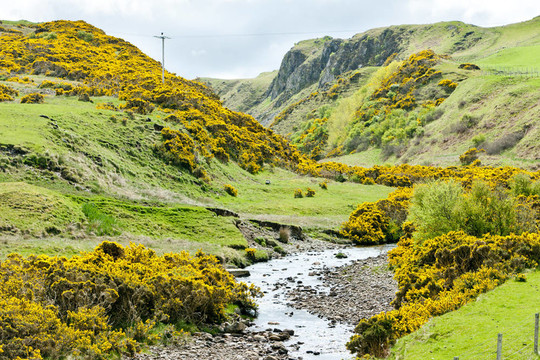 在阿馬灣景觀；Highlands；蘇格蘭