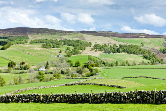 Glen Shee；Highlands；蘇格蘭