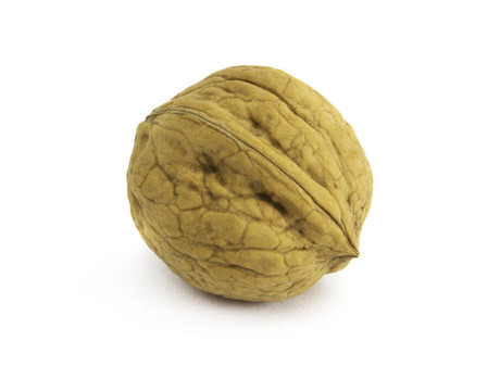 核桃