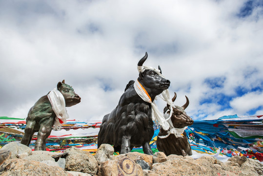 牦牛雕像