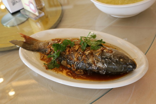 紅燒鯉魚