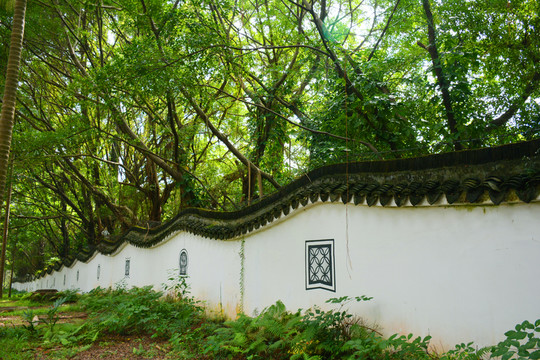 青瓦墻