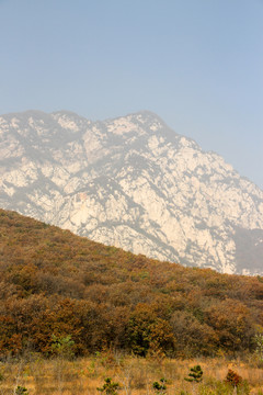 嵩山 （65）