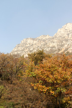 嵩山 （68）