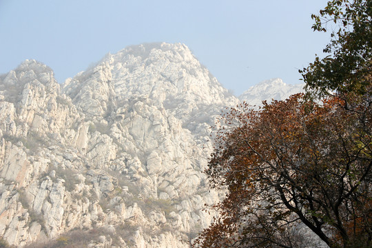 嵩山 （82）