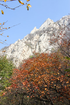 嵩山 （87）