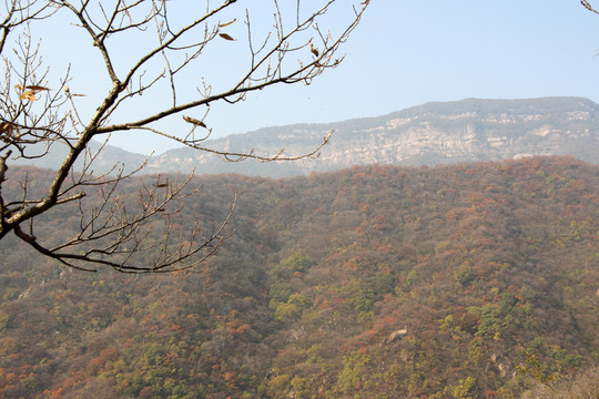 嵩山 （88）