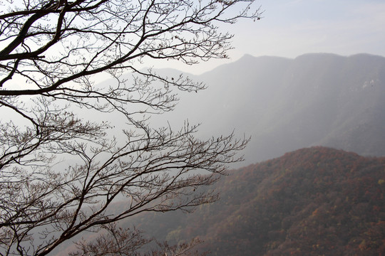 嵩山 （114）