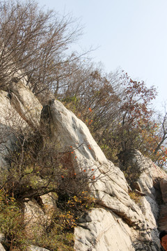 嵩山 （117）