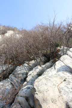 嵩山 （118）
