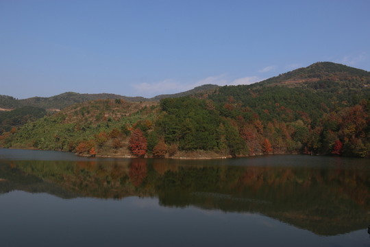 大悟秋色
