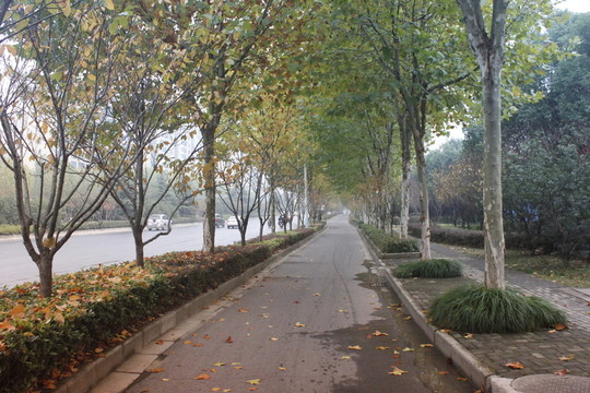午后陽光下公園景色
