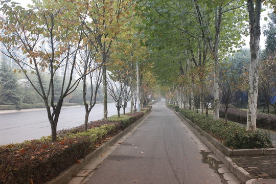午后陽光下公園景色