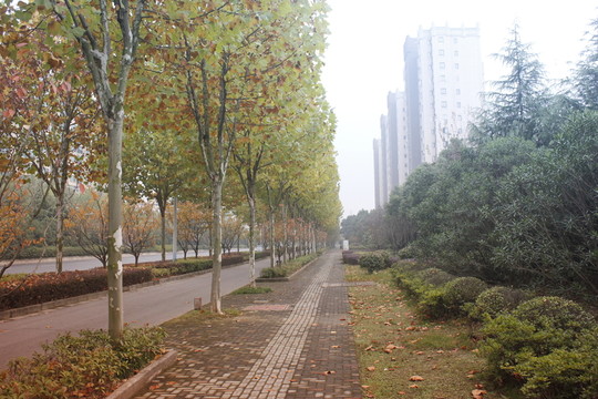 午后陽光下公園景色