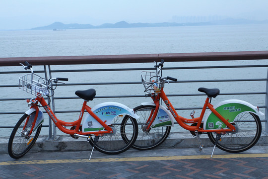 單車