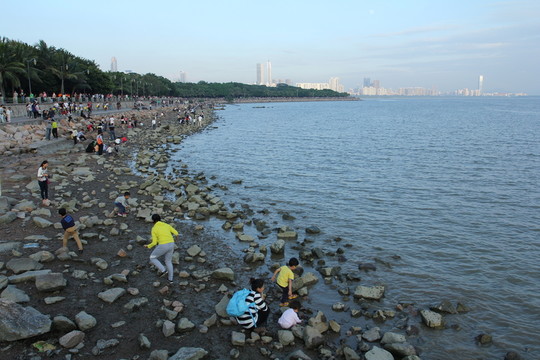 海邊游戲