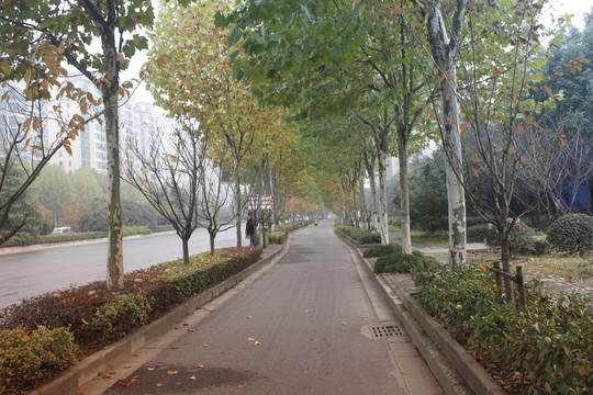 午后陽光下公園景色