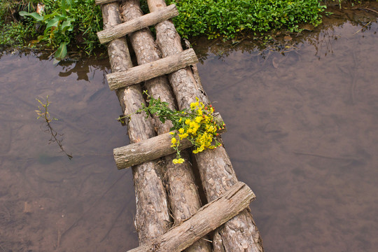 小木橋