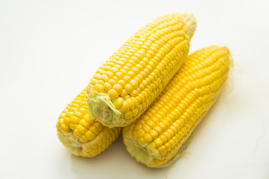 玉米