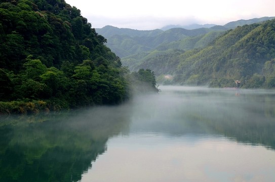 小東江 晨霧