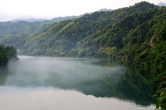 小東江 晨霧
