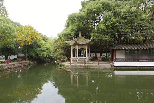 上海珠溪園 公園一角