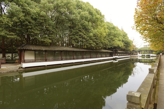 上海珠溪園 公園一角