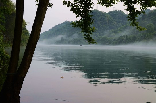 小東江 晨霧