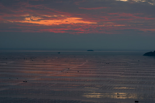 海面