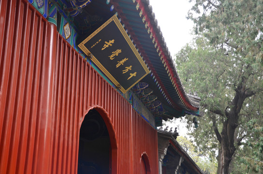 十方普覺寺