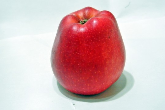 蛇果素材 一個(gè)蛇果