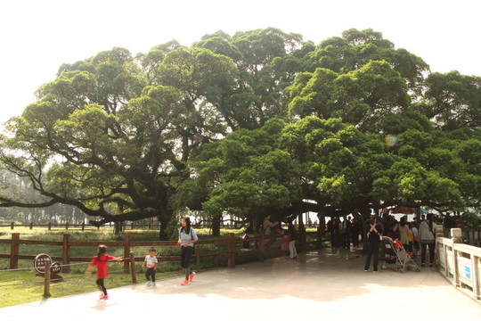 森林公園