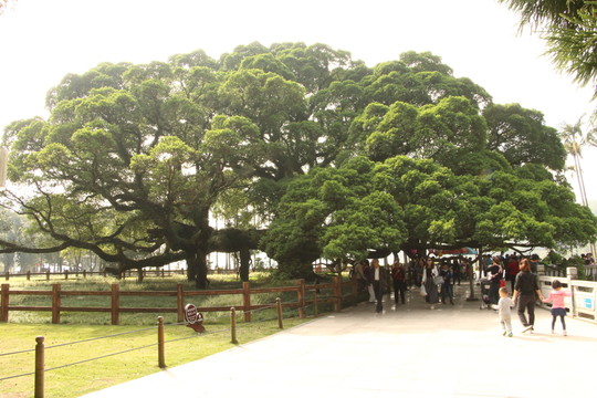 森林公園