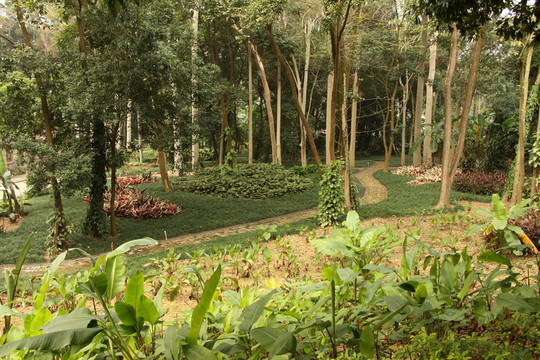 森林公園