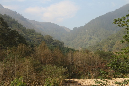 森林公園